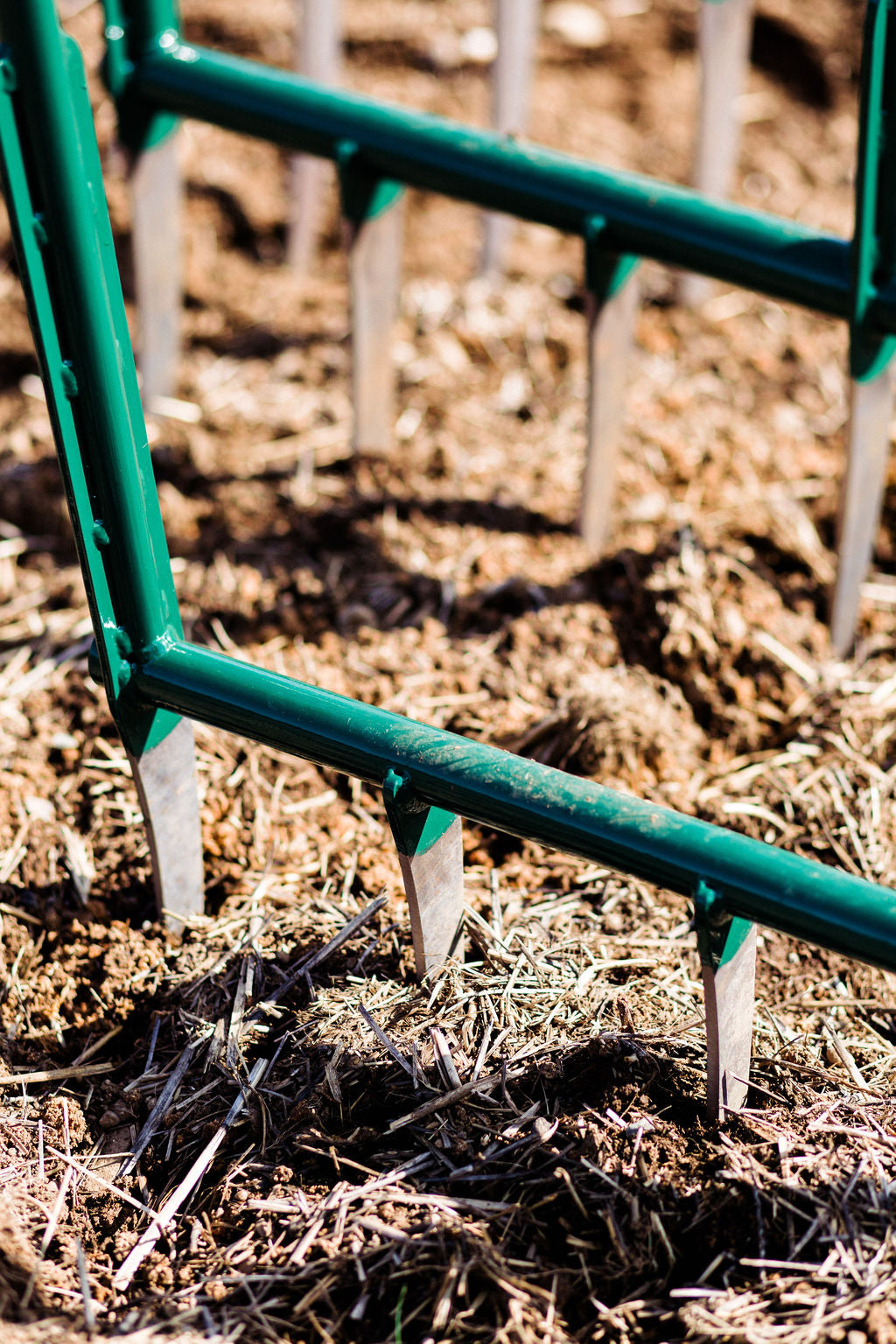 2-Pack: FARMER'S (16" tine) & TALL (14" tine) broadforks